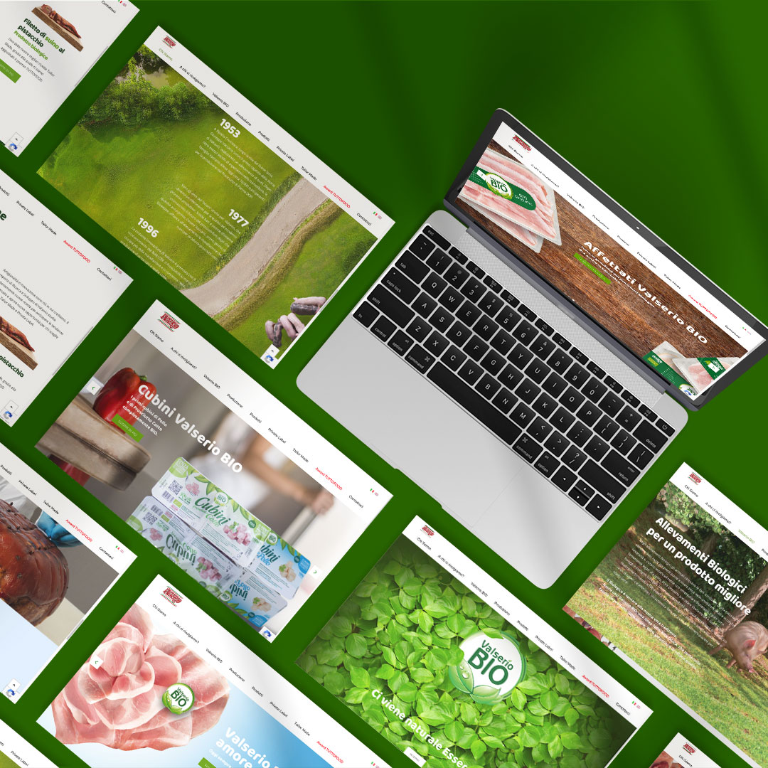 web-showcase-01